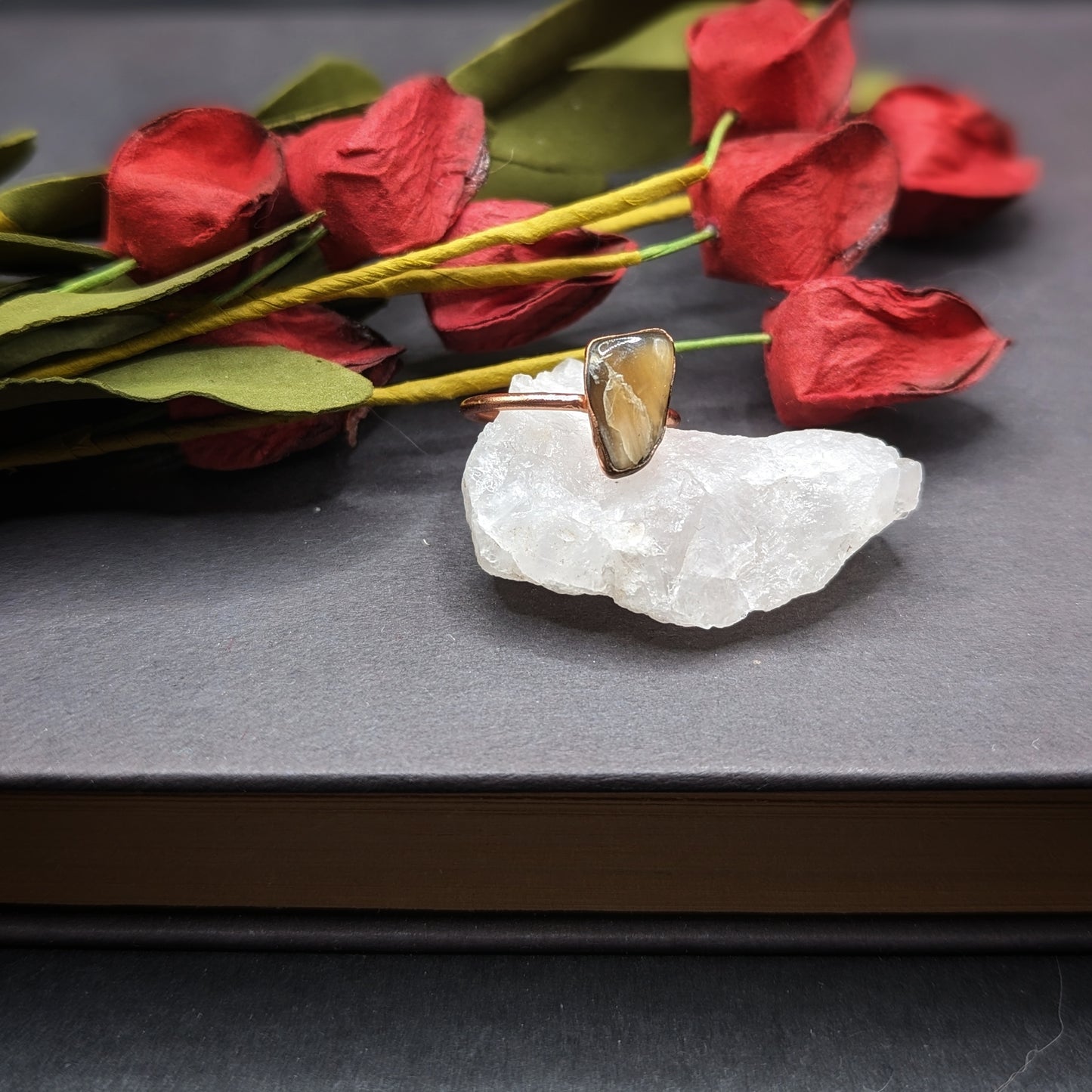 Petrified Wood Ring - Size 6