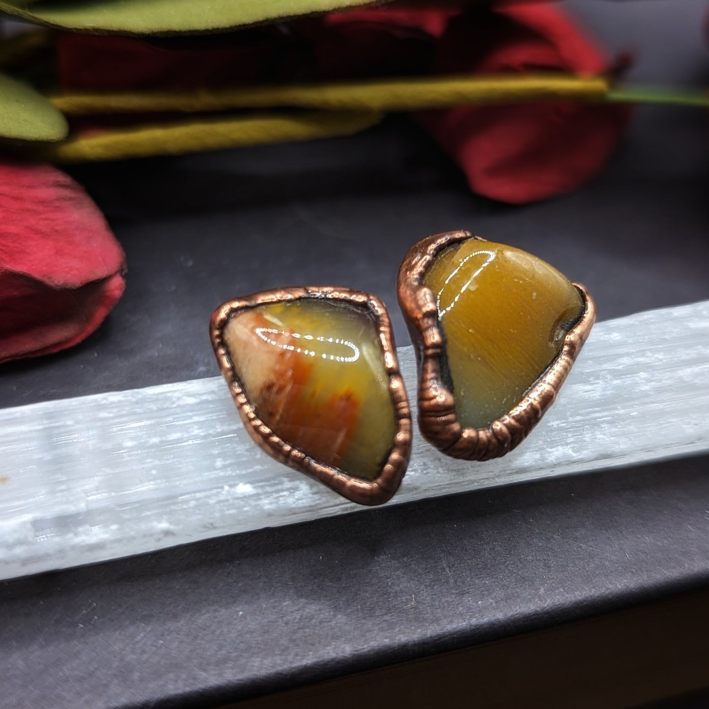 Petrified Wood Stud Earrings