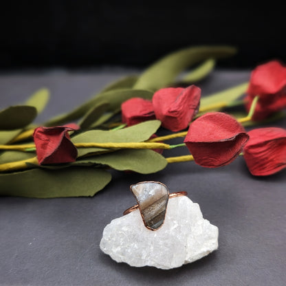Grey Petrified Wood Ring - Size 10