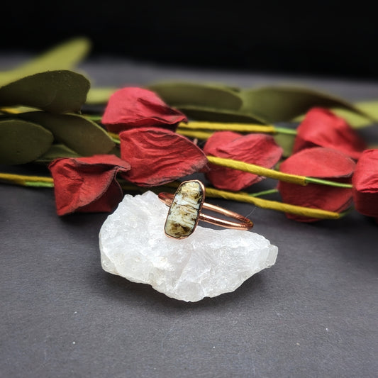 Washington Petrified Wood Ring - Size 9.5