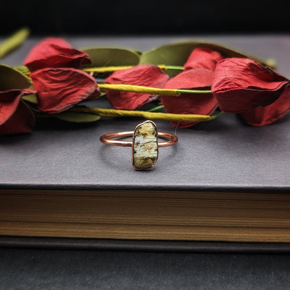 Washington Petrified Wood Ring - Size 9.5