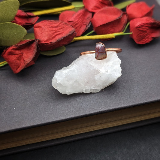 Petrified Wood Ring - Size 9