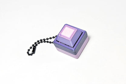 Surprise Square Clicky Keychain, Keyboard Clicker Keychain, Get What You Get Fidget Clicker, Random Color Fidget Keychain