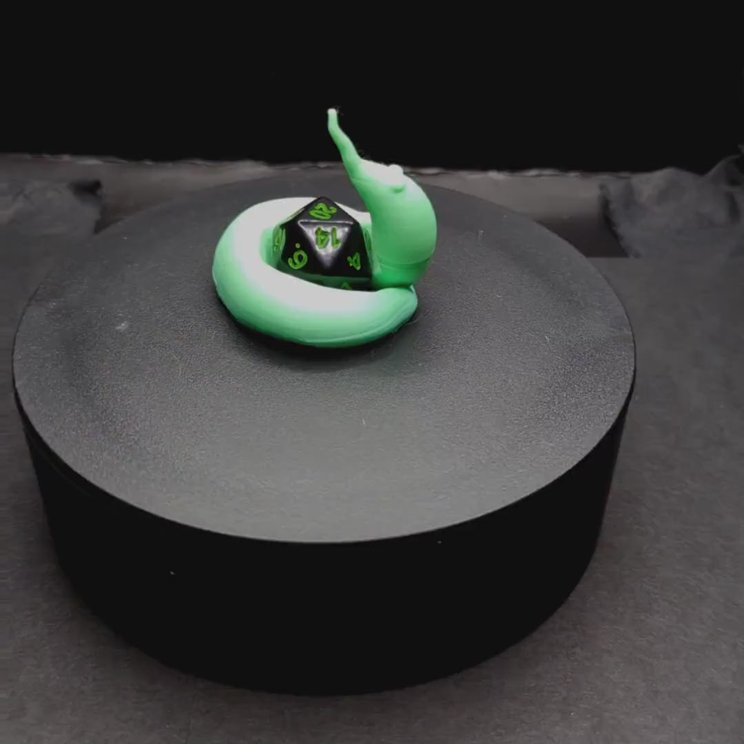 Worm on a String D20 Guardian, 3D Printed D20 Holder, Life Counter, TTRPG Accessory, RPG and Board Game Gift, Dice Display, Valentines Gift