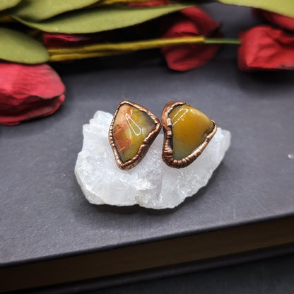 Petrified Wood Stud Earrings